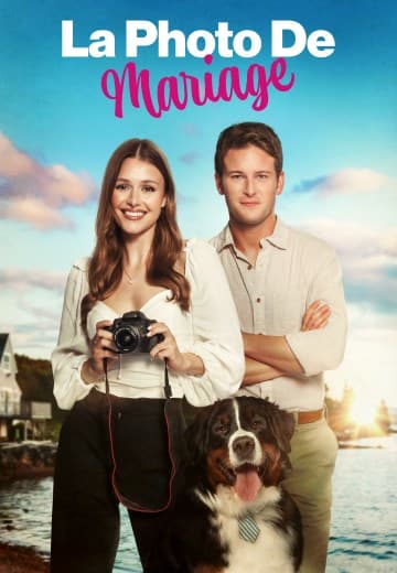 Picture Perfect Romance