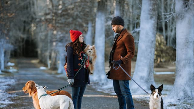 Puppy Love for Christmas
