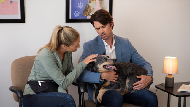 The Dog Lover's Guide to Dating