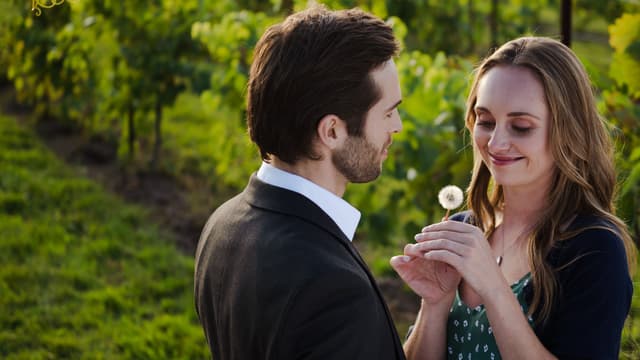 Love in Harmony Valley