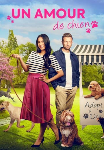 Mr. Pawsitively Perfect