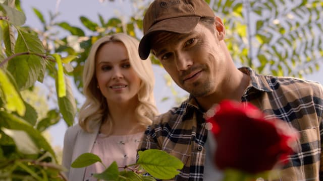 Together Forever Tea